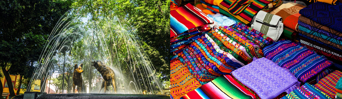 ENCABEZADO-TOUR-TM-COYOACAN-SANANGEL